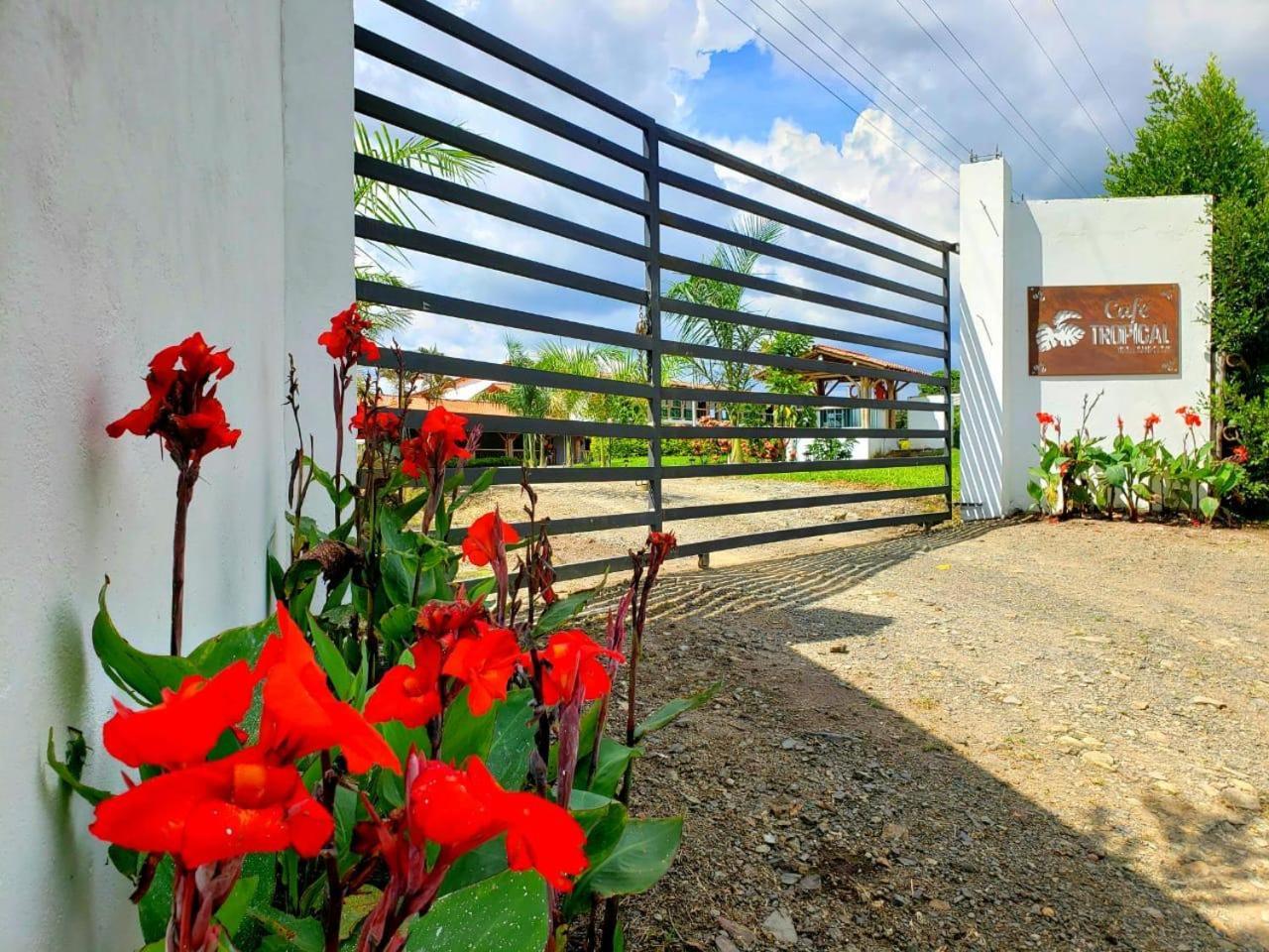Hotel Campestre Cafe Tropical Quimbaya Esterno foto